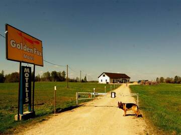 Фото Мотели Motel Golden Fox г. Zeļčava 3